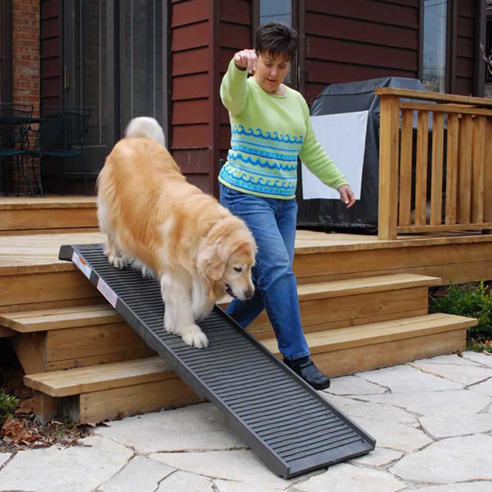 Best Dog Ramps – Keep Your Dog in Good Shape